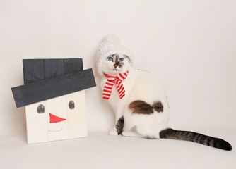 Cat in a white hat and scarf with wooden snowman