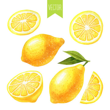 Watercolor set of lemons