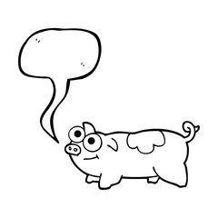 speech bubble cartoon pig