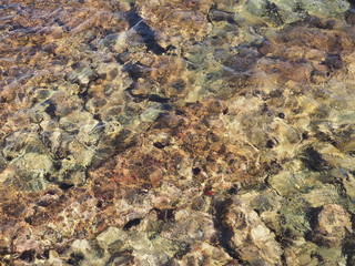 Textura natural de rocas rugosas en el fondo del mar con agua transparente, 2016