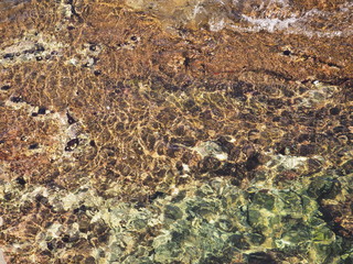 Paisaje del fondo del mar transparente, color verde, con textura rugosa de piedras en la costa, 2016