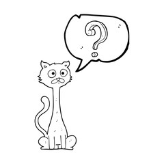 speech bubble cartoon curious cat