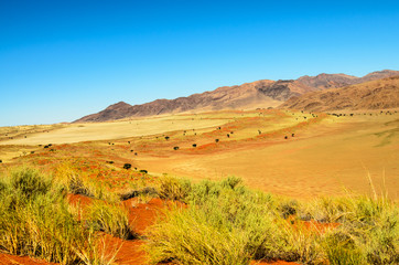 Natural unspoilt beauty of the landscape in Namibia