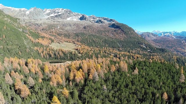 Sorvolo foresta in Autunno - Ripresa aerea