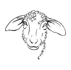 head sheep black and white illustration