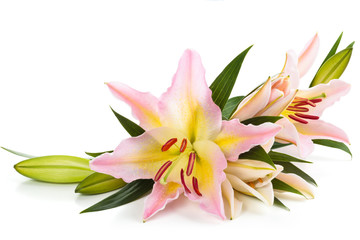 Pink lilies arrangement.