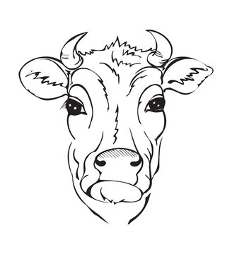 stylized black and white cow head