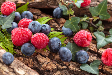 Forest berries background.
