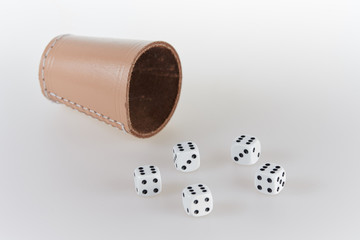 Five dices and a dice cup