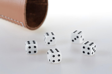 Five dices and a dice cup