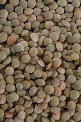 healthy green laird lentils