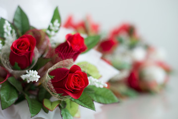 bouquet of roses on white background