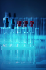 Test tubes in holder closeup