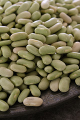 healthy dried flageolet beans