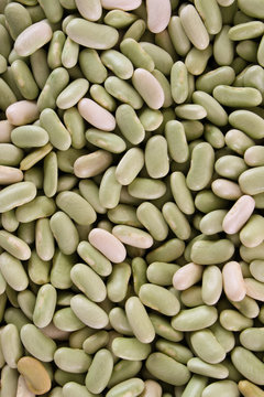 Healthy Dried Flageolet Beans