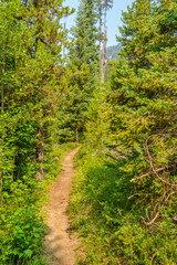 Fototapeta na wymiar Beautiful Mountain Trail. Lightning Lake Trail at Manning Park in British Columbia. Canada.