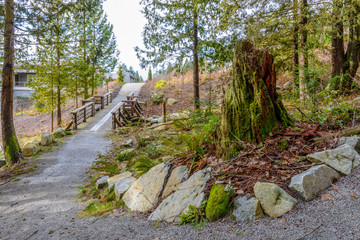 Fragment of gorgeous trail in West Vancouver Park, Canada.