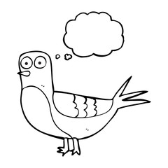thought bubble cartoon pigeon