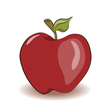 Red apple isolated. Vector