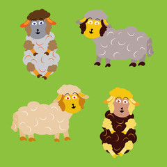 Fototapeta premium color icon with sheep