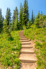 A stairs at trail in Blackwall Peak trail at Manning Park, British Columbia, Canada.