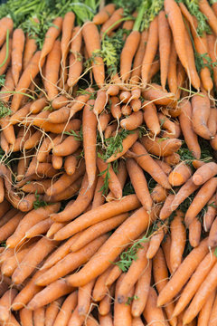 Orange baby carrots piled on the table in local market