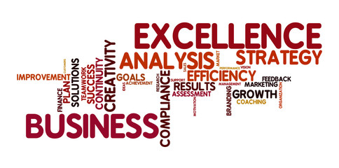 business and excellence