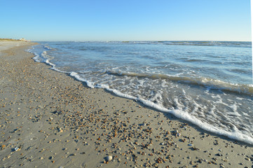 Seashells on a deserted beach in north Florida as the tide comes in