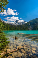 Obraz premium Majestic mountain lake in Canada. Upper Joffre Lake Trail View.