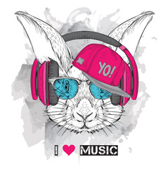 The image of the rabbit in the glasses, headphones and in hip-hop hat. Vector illustration.