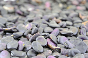 Bean seeds