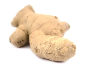 Ginger root on a white background (small depth of field)