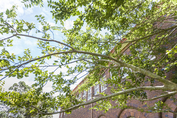 a closer shot of the house