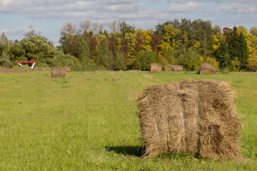 Harvested field on the entrance to the town of Kalyazin of the T