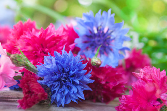 Blue and purple cornflowers on a wooden table on a background of green plants