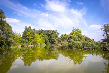 Fototapeta na wymiar Summer landscape at the River Havel