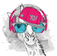 Obraz premium The image of the giraffe in the glasses, headphones and in hip-hop hat. Vector illustration.