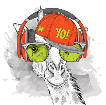 The image of the giraffe in the glasses, headphones and in hip-hop hat. Vector illustration.