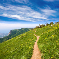 pathway in mountains
