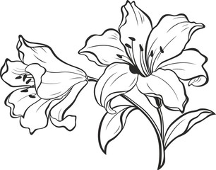 Lily flowers. Blooming lily. Card or floral background with blooming lilies flowers. 
Silhouette of lily flowers  isolated on white background. Vector illustration. - obrazy, fototapety, plakaty