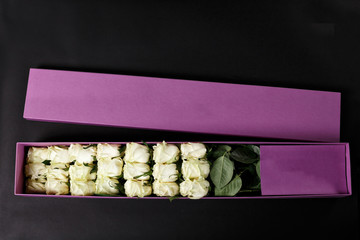 White roses in gift purple souvenir box, place the logo on a black studio background, spring is coming, 8 March