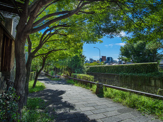 京都　せせらぎの道