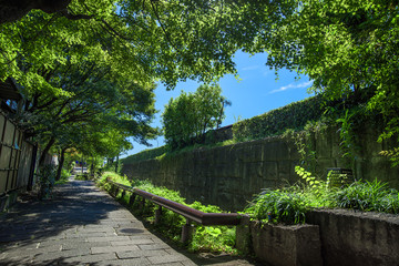 京都　せせらぎの道
