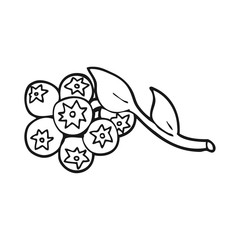 black and white cartoon blueberries