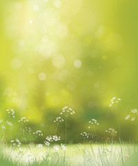 Obraz premium Vector floral, nature background.