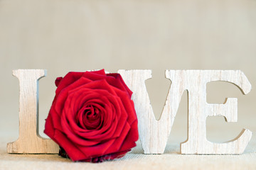 Love / Wooden letters with the word love and a rose standing on jute fabric