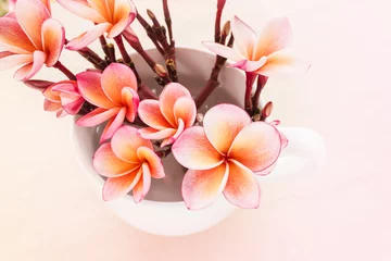 No drill blackout roller blinds Frangipani (Soft vintage) pink  frangrant flowers plumeria or frangipani in