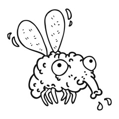 black and white cartoon fly