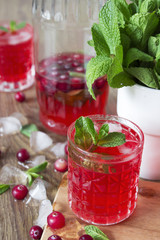 Cranberry cocktail with mint and ice
