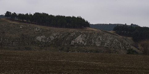 Steep cliffs and spruce grove on a hill